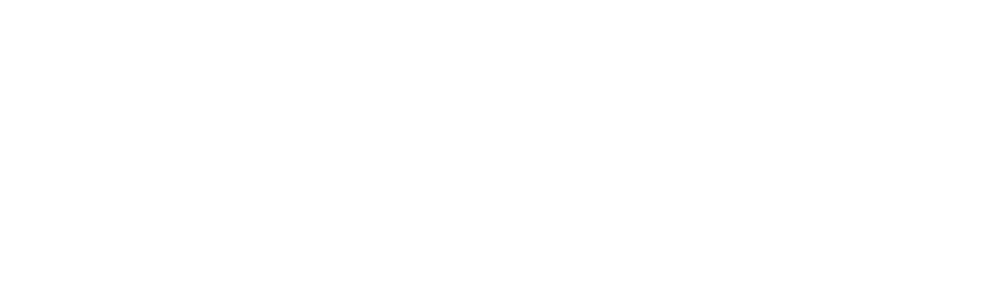 Celfield Homes Reverse Logo